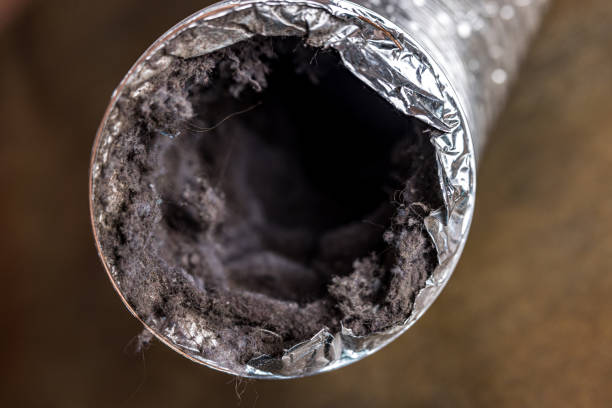 Best Duct Cleaning Specialists  in Taylor, AZ