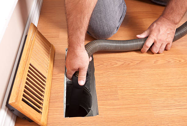 Best Air Vent Cleaning Services  in Taylor, AZ