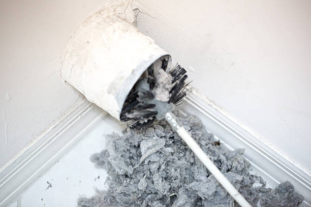 Best Ductwork Cleaning Services  in Taylor, AZ